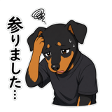 846875566