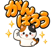 846875596