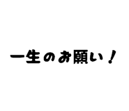 846876685