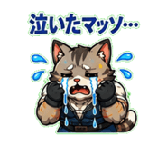 846917230