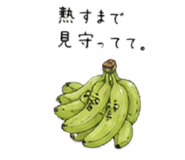 846918185