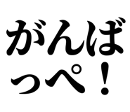 846918504