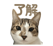 846919216