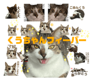 846919225