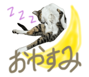 846919228