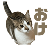 846919231