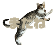 846919235