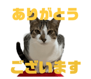 846919240