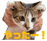 846919241