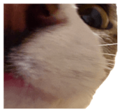 846919242