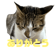 846919243