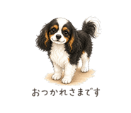846919826
