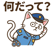 846919906