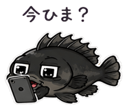 846922129