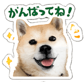 846924228