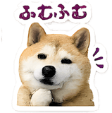 846924231