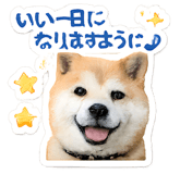 846924233