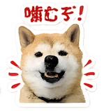846924239