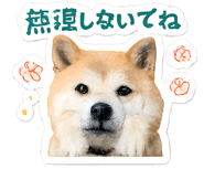 846924242