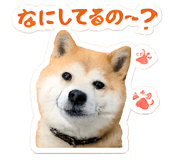 846924243
