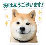 846924246