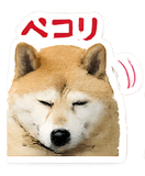 846924249