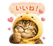 846930884