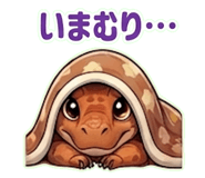 846931254