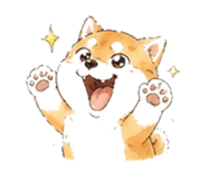 846931714