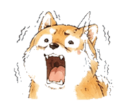 846931718