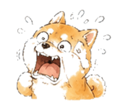 846931721