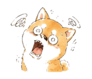 846931722