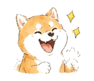 846931723