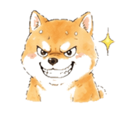 846931725