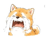 846931726