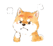 846931727