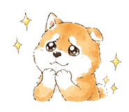 846931729