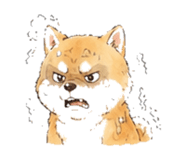 846931738