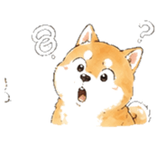 846931746
