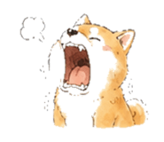 846931750