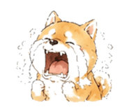 846931752