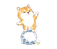 846931928