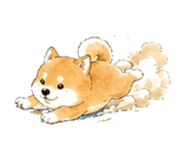 846931939