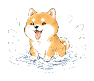 846931941