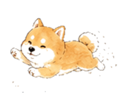 846931949