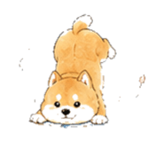 846931951