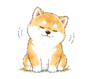 846932122
