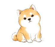 846932324