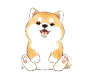 846932326