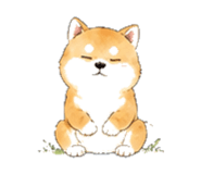 846932332